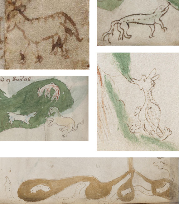 Animal doodles in the Voynich Manuscript.