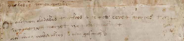 Marginalia on f116v  (last page) of the Voynich Manuscript.
