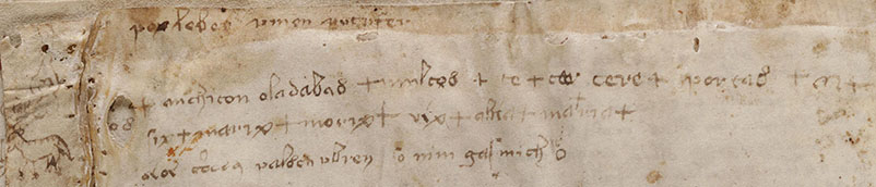 Figure 29. f116v marginalia.